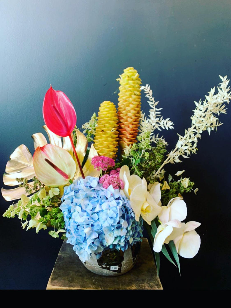 Orelia arrangement
