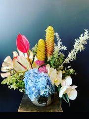 Orelia arrangement