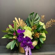 Sophie arrangement